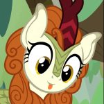 四季杜卡迪的头像-EquestriaMemory