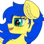 陈干ChenGan-EquestriaMemory