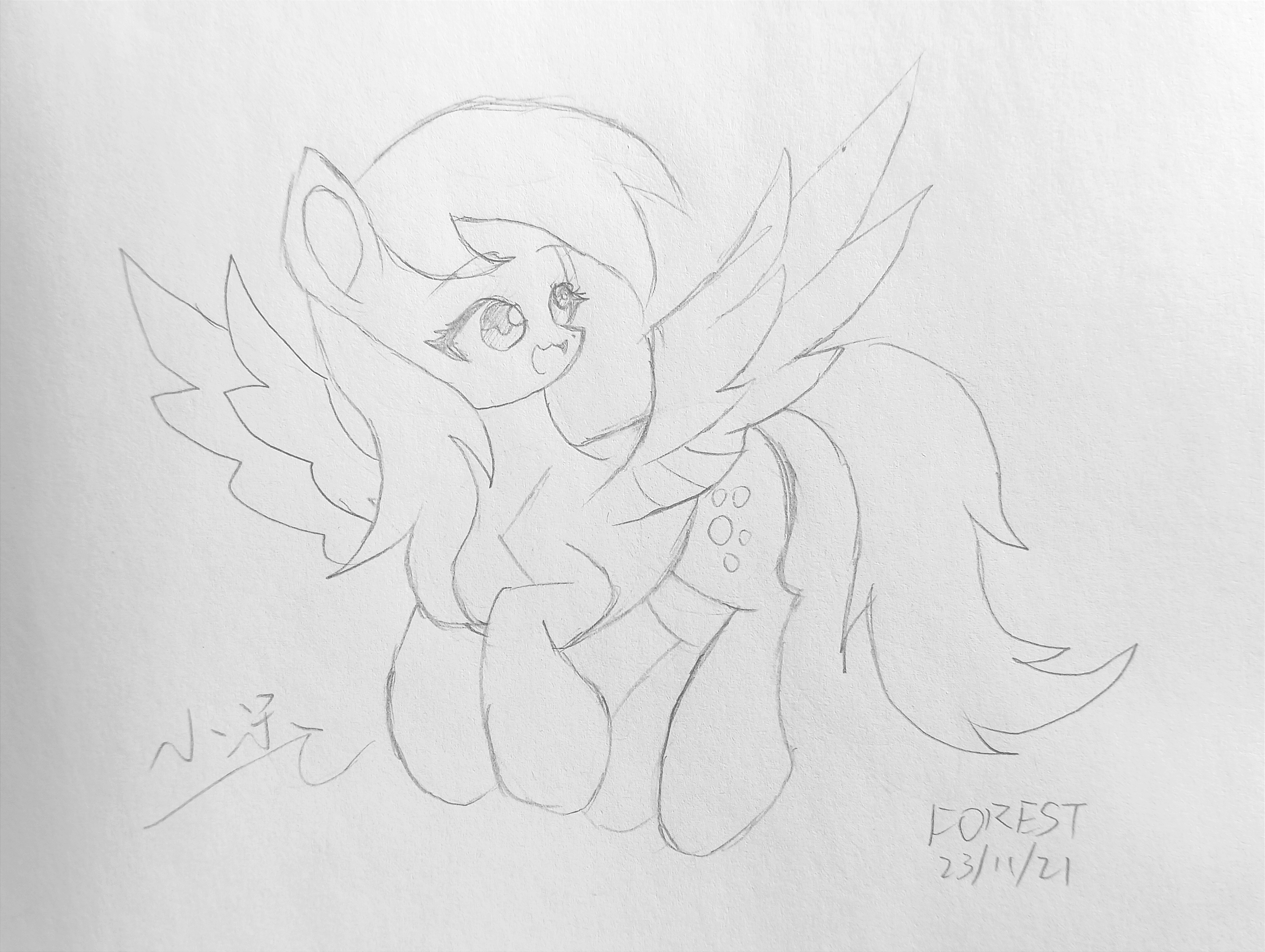 20231121164207528-IMG_20231121_162857