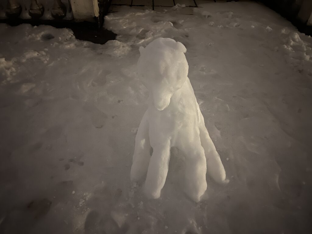 20240207224855216-3CE2C30B-792F-4E0F-9EBF-F4D875EBB03F