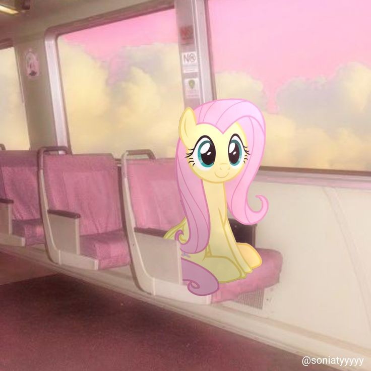 马国记忆 | EquestriaMemory