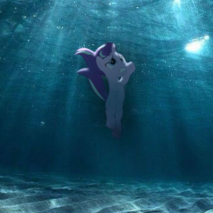 马国记忆 | EquestriaMemory