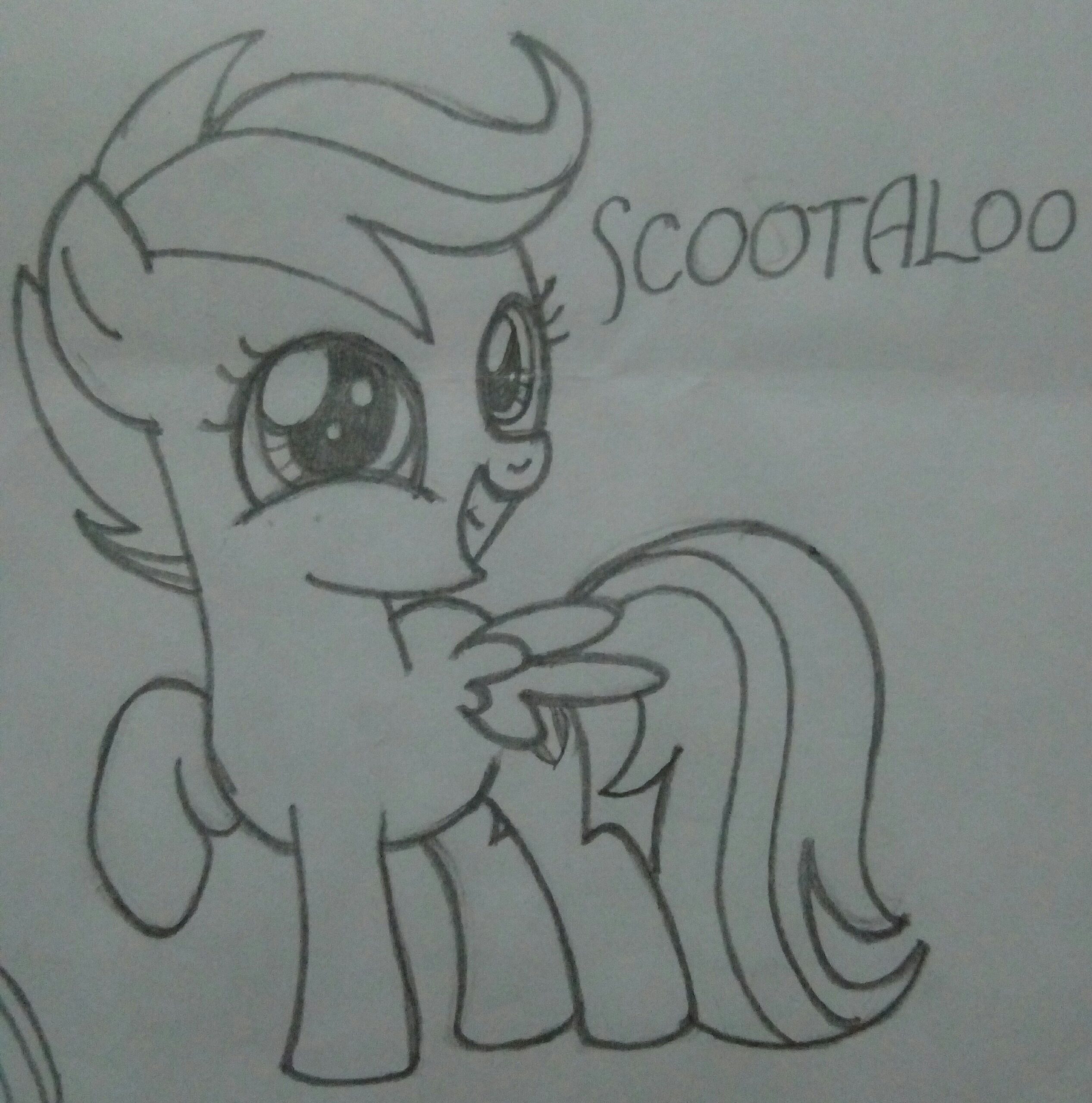 20250215205050887-P40315-224333(1)