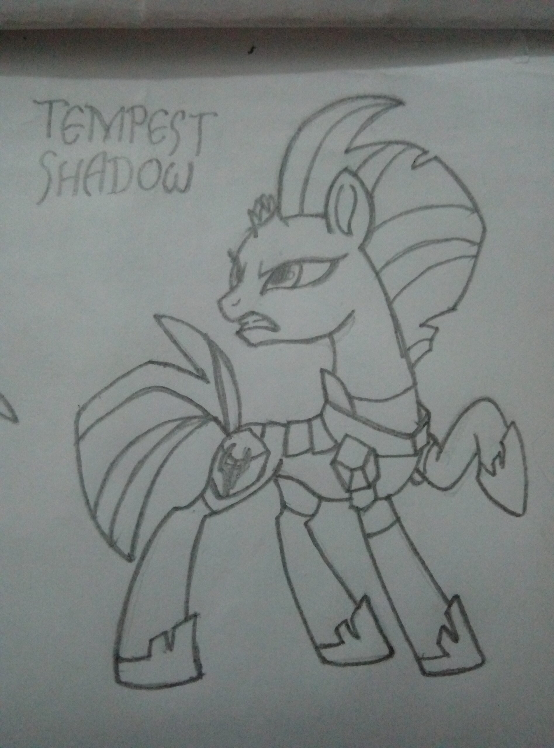 20250215205052363-P40315-224249