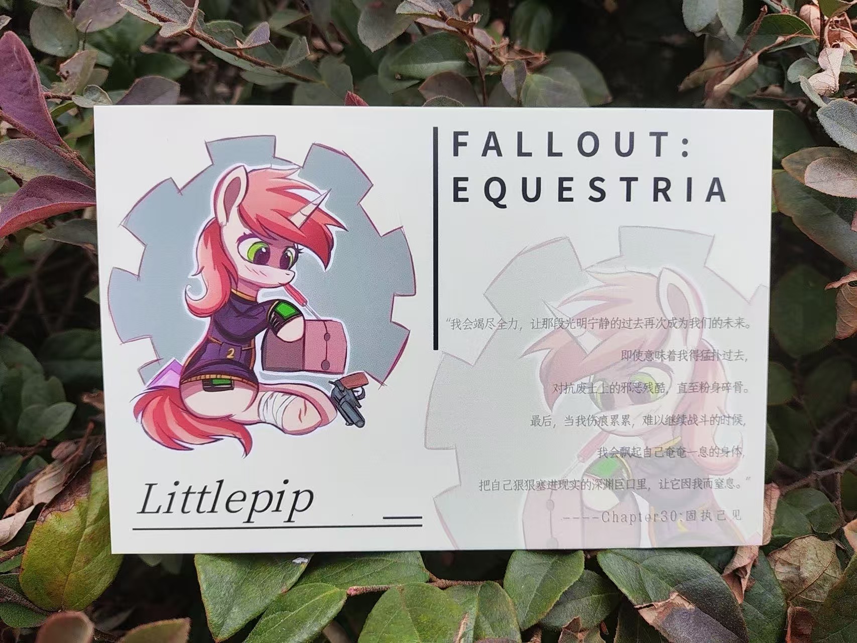 马国记忆 | EquestriaMemory