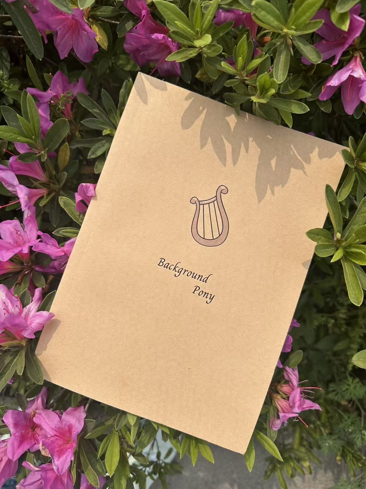 【BP】背景小马语录笔记本-EquestriaMemory