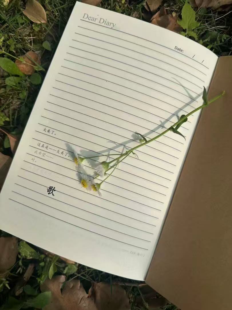 马国记忆 | EquestriaMemory